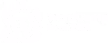 WordPress Brasil logo branco